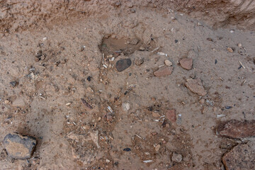 Human bone remnants at Al-Ukhdud site in Najran, Saudi Arabia