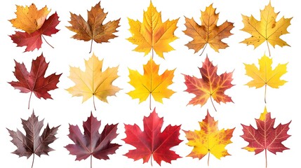 Fototapeta premium Colorful autumn leaves set isolated on white background Al Content