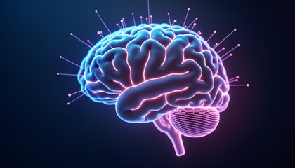 Complex Neural Connections in Human Brain Network Illustration, Brain Connectivity and Information Flow