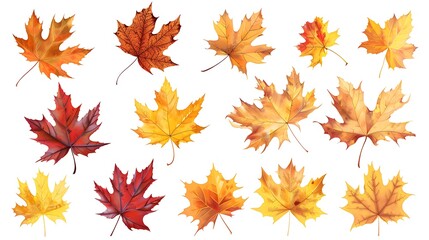 autumn leaves background