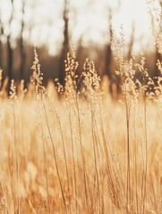 Nature's Symphony: Embrace of the Season