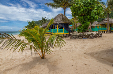 Lalomanu Beach is a picturesque white sand beach, located on the south coast of Upolu, one of the...