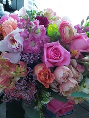 Beautiful Close Up Flower