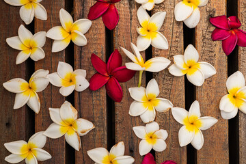 flowers on wooden background, rose and frangipani