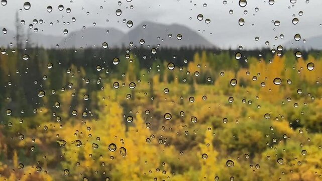 Zugfahrt durch Alaska