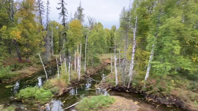 Zugfahrt durch Alaska