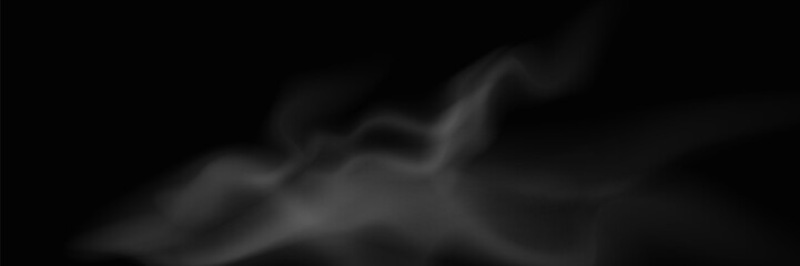 Realistic white transparent smoky vapor. Vector smoke screen on a transparent background.