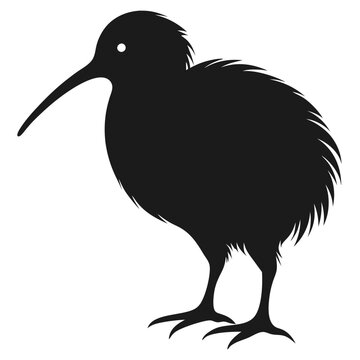 recommend clip art: kiwi bird silhouette vector  illustrati 