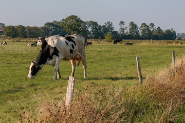 Greetsiel an der Nordsee in Ostfriesland