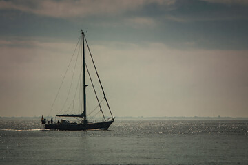 Fototapeta premium sailing in the sunset