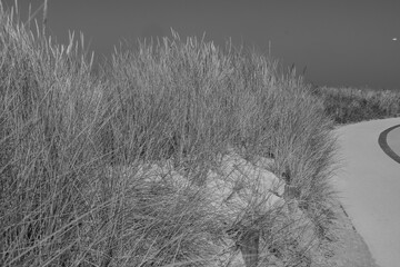 Norddeich an der Nordseeküste