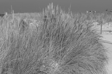 Norddeich an der Nordseeküste