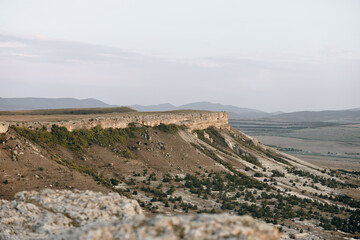 moody sky creates a serene backdrop for silhouetted trees in peaceful nature scene