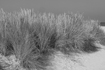 Norddeich an der Nordseeküste