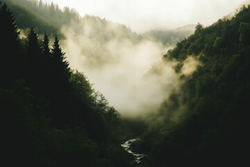 Fototapeta premium Misty Mountain Landscape