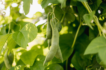 
NewIn reviewReminder13Not acceptedReleases
Submit 0 files
Your files were successfully submitted