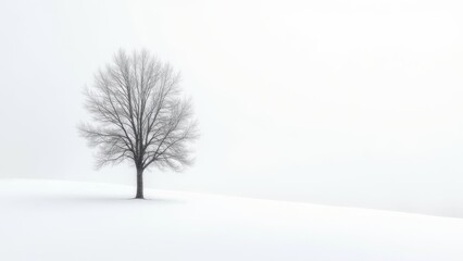 Fototapeta premium Generative AI, a lone tree in a snowy field with a white sky in the background and a few clouds in the sky, award-winning photograph, a minimalist painting, minimalism 