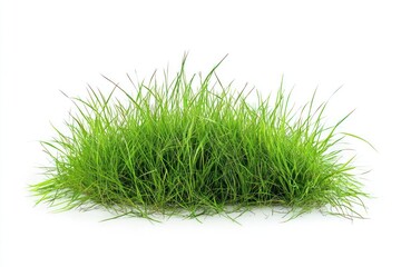 A lush green patch of grass stands isolated against a stark white background, emphasizing simplicity and nature.