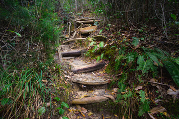 "The Garden of Eden Trail, known as one of Florida’s toughest day hikes, offers adventurous hikers a rugged path through stunning natural beauty."