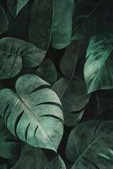 Obraz premium A detailed engraving of tropical leaves, with intricate cross-hatching and fine line work, creating a rich, textured look in deep green tones.