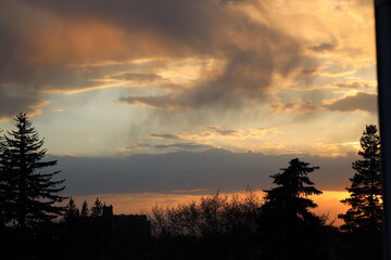 swirls of rain fall from storm clouds above trees at sunset