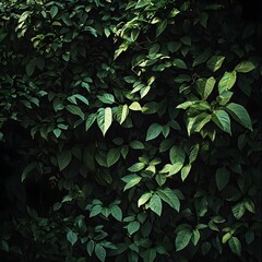 Photo of Dense Green Foliage