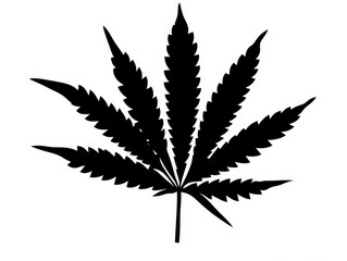 Black silhouette of a a cannabis leaf on a white background.
