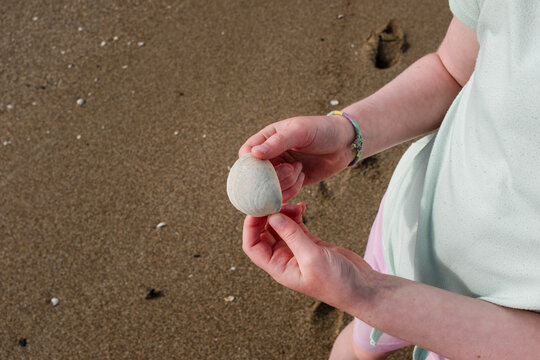 Girl Collecting Sea Shells on a Beach in Brittany