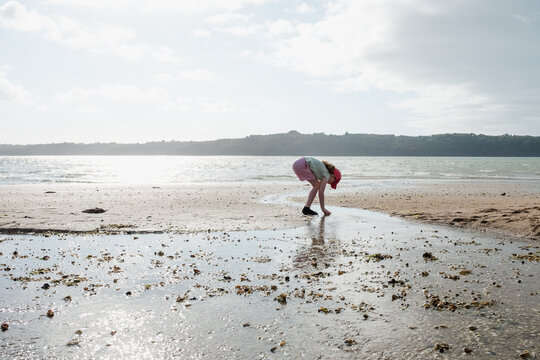 Girl Looking For Sea Shells on a Beach in Brittany