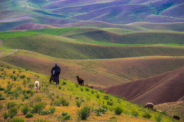 walking in the mountains