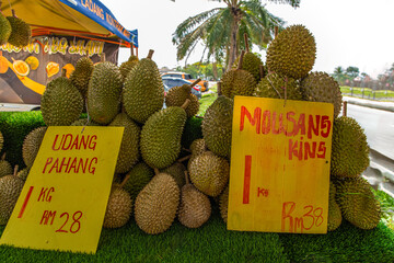 Durian fruit on table background.