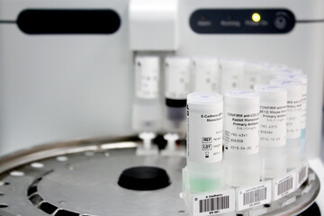 Monoclonal Primary Antibody. Laboratory glassware, science laboratory research concept.