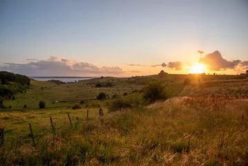 Fototapeten Scenic landscape at Glumslövs Backar / Hilleshögs Dalar nature reserve in Sweden at sunset. © Marie Young