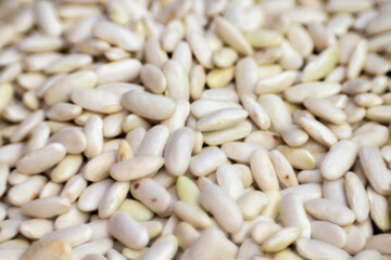 Macro image with shallow depth of field of a lot of raw Asturian beans 