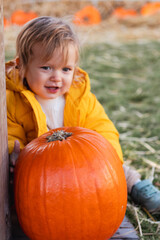toddler in yellow jacket enjoying harvest festival celebration at pumpkin patch