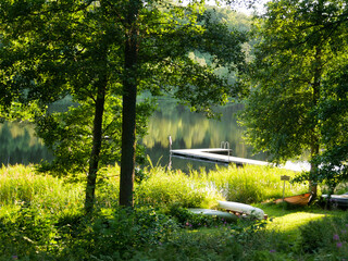 Beautiful landscape photography by a lake in summer. Surrounded by forest and nature.