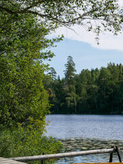 Beautiful landscape photography by a lake in summer. Surrounded by forest and nature.