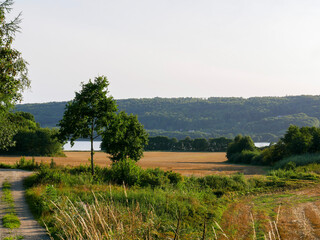 Summer field landscape photography. Rural agricultural field and gravel road by the lake. Lake view. Nature photography background. 