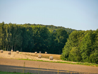 Fototapeta premium Beautiful golden summer field. Hay bales laying everywhere. Summertime landscape photography over meadow.