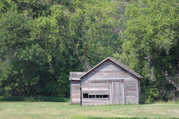 closeup unpainted rustic wooden farm building in trees