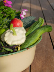 Bowl filled with newly harvested produce. Home grown and organic vegetables. Tomatoes, zucchini, parsley, flowers, apples, pears, beans, peppers, chillies and kale.