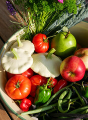 Bowl filled with newly harvested produce. Home grown and organic vegetables. Tomatoes, zucchini, parsley, flowers, apples, pears, beans, peppers, chillies and kale.