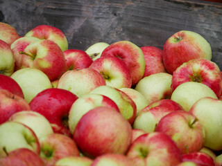 Red apples in wooden box