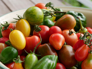 Fresh vegetables in a big bowl, just harvested. Homegrown produce. Tomatoes, peppers and chillies.
