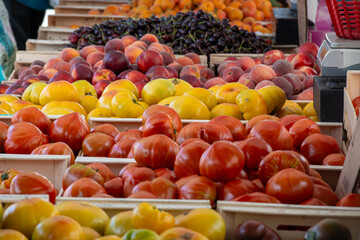 Variety of colorful tasty ripe french tomatoes on farmers market in Provence in summer