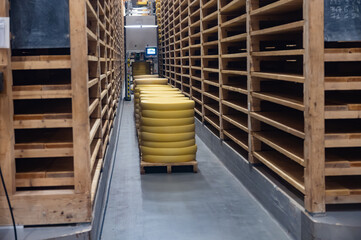 Aging rooms with shelves in cheese caves, central location for aging of wheels, rounds of Comte cheese from four months to several years made from raw cow milk, Jura, France