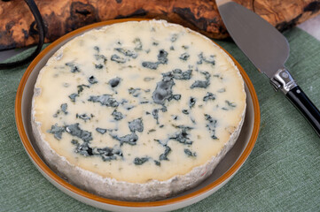 Cheese collection, piece of French blue cheese auvergne or fourme d'ambert