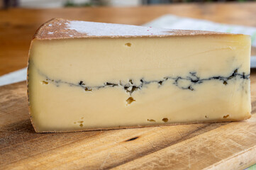 Cheese collection, French Morbier semi-soft cow milk cheese with black mold layer close up