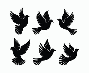 Dove silhouette EPS vector isolated illustration template on a white background