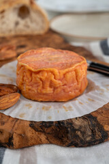 Rond des Vignes washed-rind cheese with.ivory-orange rind, strong nose with aromas, French soft cheese with orange rind
